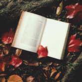 book laying on leaves and tree roots