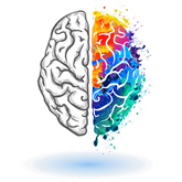 A line art drawing of a brain. The left side is grayscale and the right side is colored in and has creative paint splotches.